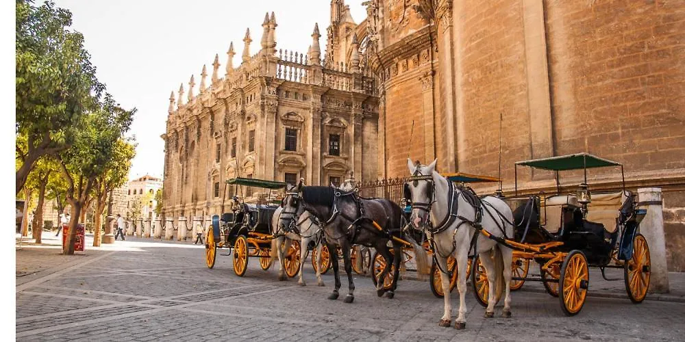 Nino De Guevara'S Andalusian Charm: The Essence Of Malaga City Center Apartment